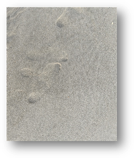说明: A close up of a sand