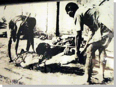 说明: 说明: 说明: 说明: http://i166.photobucket.com/albums/u88/Red_Crystal_Palace/Pic/images507978_nandoi2.jpg