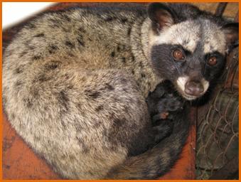 说明: 说明: http://www.puriocafe.com/images/stories/chon/img_1051.jpg