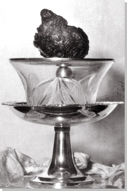 说明: http://giacngo.vn/UserImages/2013/06/04/9/trai-tim-bat-diet-cua-bo-tat-thich-quang-duc1.jpg