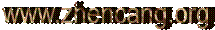 www.zhencang.org